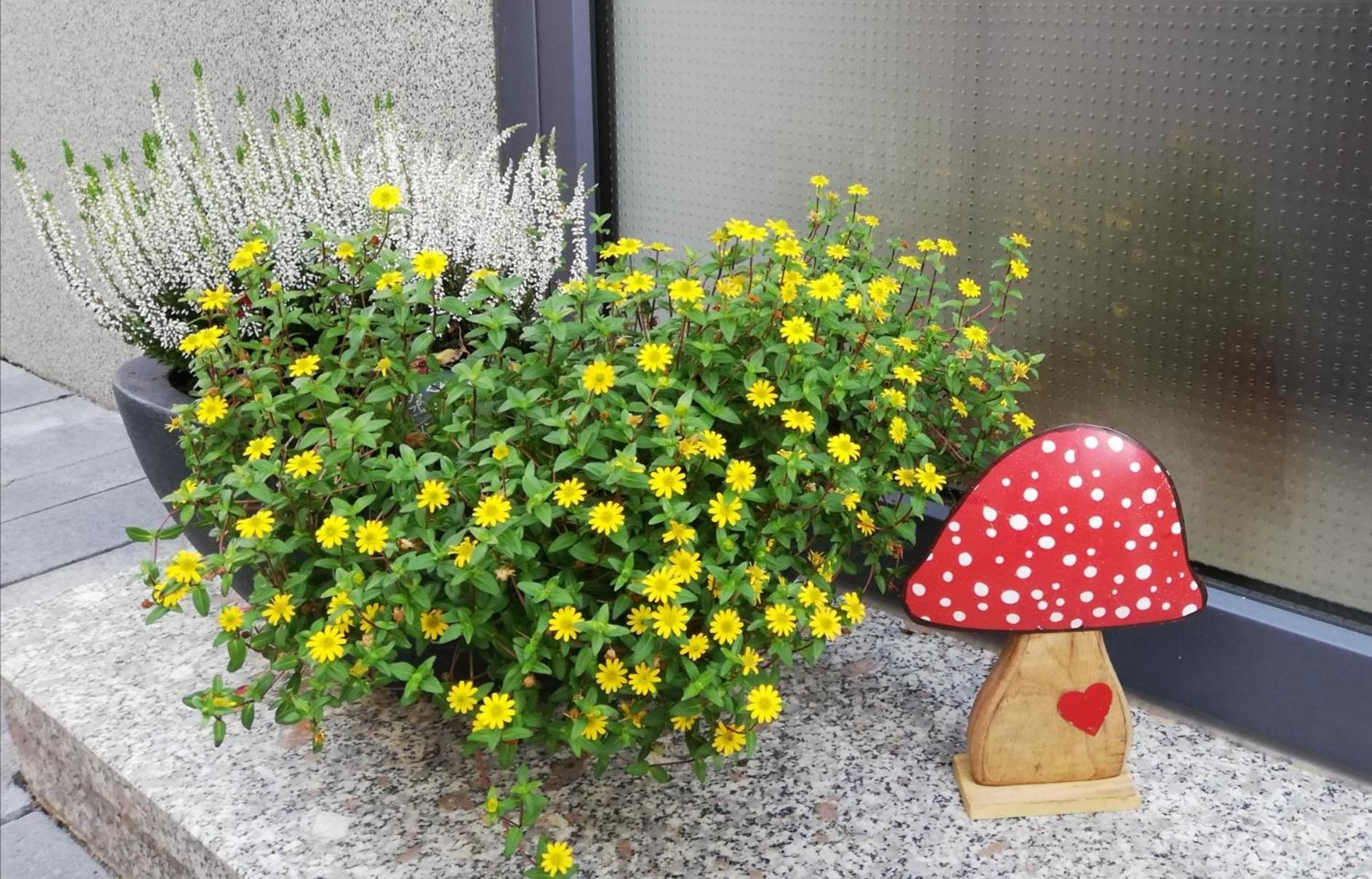 Ferienhaus Rauwolf Mit 2 Ferienwohnungen Roschbach ภายนอก รูปภาพ