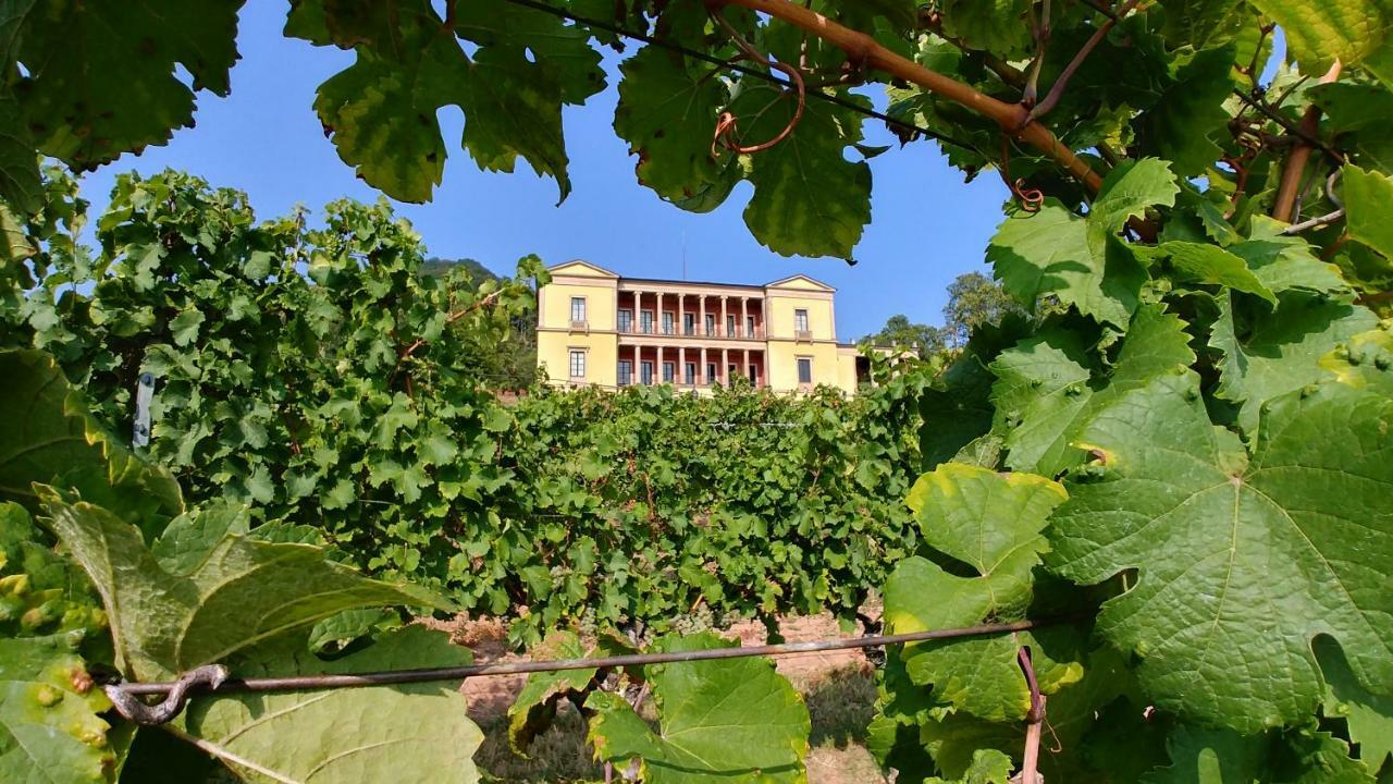 Ferienhaus Rauwolf Mit 2 Ferienwohnungen Roschbach ภายนอก รูปภาพ